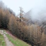 恋夜影视支持安卓手机全部列表 4f1yn6nqp7