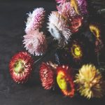 恋爱影院全部uc列表手机安卓 zzwtk